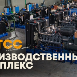 Дизельный генератор ТСС SDG 3300H
