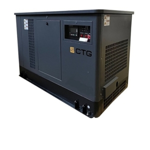Газовый генератор CTG CG40000TSA