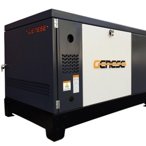 Газовый генератор Genese Standard 12000T Neva в кожухе