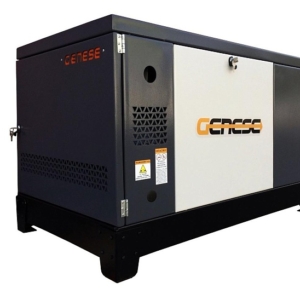 Газовый генератор Genese Standard 17000 Neva в кожухе