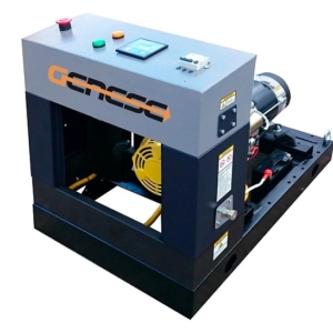 Газовый генератор Genese Standard 17000T Neva