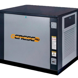 Газовый генератор Genese Standard 6250 Neva в кожухе