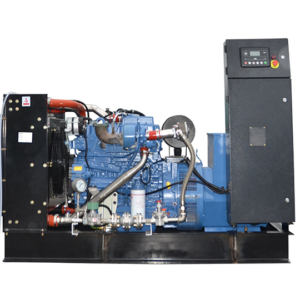 Газовый генератор GRI YC100NG